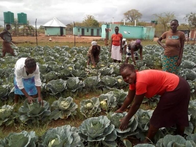 Shelter Services – MUSASA
